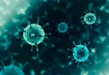 Kaso ti dengue iti probinsya ti Benguet, ngimmato no idilig idi napalabas a tawen manipud Enero a uno agingga Marso a dos ti agdama a tawen