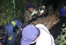P72-million na halaga ng illegal cannabis plantation, nadiskobre sa Tuba, Benguet; apat na magsasaka, masasampahan ng kaso