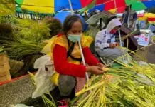 Panagtalinaed kadagiti naituding a paglakoan, maipalpalagip kadagiti palm vendors iti Baguio City