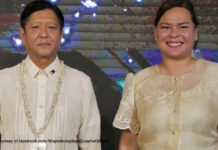 Pannakasukat ni Vice President Sarah Duterte kas Education Secretary, awan ti makita a rason sigun kenni President Ferdinand Marcos Jr.