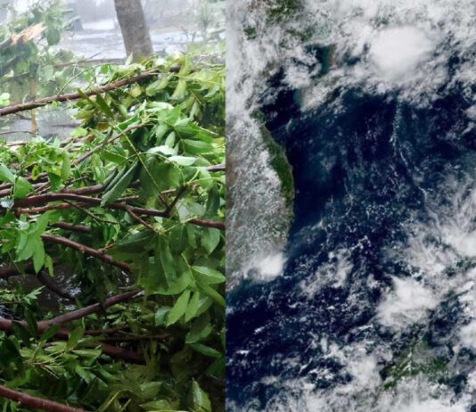 Danyos ti typhoon Aghon iti sektor ti agrikultura, dumanon iti agarup P21 million, sigun NDRRMC