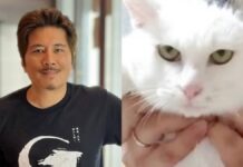 Agtultuloy nga umaaw-awat iti nagduduma a reasksyon ti maipapan iti pusa idiay South Korea a maibagbaga a karuprupana ni Janno Gibbs