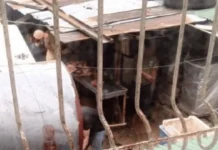 Tallo a lallaki, nakemmeg gapu iti panangparti ken pananglutoda iti aso idiay South Sanitary Camp, Baguio City