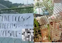 Makaallilaw a karatula idiay La Trinidad, Benguet a mangipasimudaag iti panangilako ti karne ti aso, saan a pudno sigun kadagiti otoridad; mapalpalagipan iti publiko a paneknekanda ti impormasion online