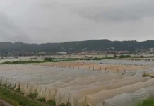 Rehiyon Cordillera, saan unay a naapektaran iti naglabas a bagyo nga Enteng