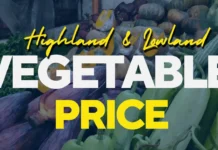 Agdama a presyo ti lowland ken highland vegetables iti Block 4 Baguio City Public Market, ngimmato