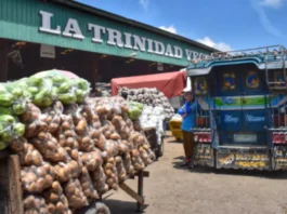 Otoridad ti Task Force nga agaksion kontra iti smuggled a nateng sadiay La Trinidad, Benguet, limitado