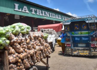 Otoridad ti Task Force nga agaksion kontra iti smuggled a nateng sadiay La Trinidad, Benguet, limitado