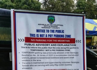 Temporary Parking Area idiay Gibraltar, temporaryo a inpawil ti CEO kadagiti lugan