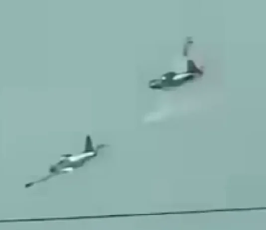 PAF, kinumpirmarna ti ipupusay ti uppat a piloto kabayatan iti maysa a training flight idiay Lipa City
