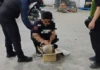 Parcel a naglaun iti maatap a marijuana, nadiskubre iti maysa a courier hub iti suidad ti Baguio