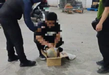 Parcel a naglaun iti maatap a marijuana, nadiskubre iti maysa a courier hub iti suidad ti Baguio