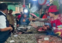 Inspeksiyon ken monitoring kadagiti paglakuan ti karne ken ikan iti Baguio City, nasukimat
