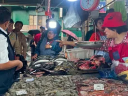 Inspeksiyon ken monitoring kadagiti paglakuan ti karne ken ikan iti Baguio City, nasukimat