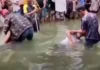 Dalawang magsasaka, nasawi sa ritwal na isinagawa para maresolba ang alitan sa lupa sa Sarangani Province