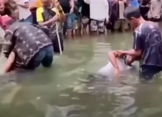 Dalawang magsasaka, nasawi sa ritwal na isinagawa para maresolba ang alitan sa lupa sa Sarangani Province