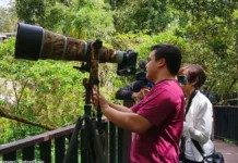 Birdwatching, maysa kadagiti tampok iti kaluklukat laeng a Baguio Arboretum