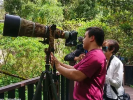 Birdwatching, maysa kadagiti tampok iti kaluklukat laeng a Baguio Arboretum