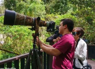 Birdwatching, maysa kadagiti tampok iti kaluklukat laeng a Baguio Arboretum