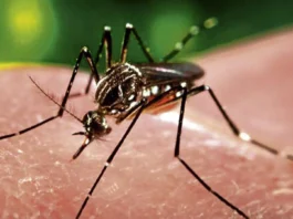 Baguio City, pasok sa Top 10 ng 2026 Galing Pook Awards dahil sa anti-dengue program