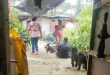 Umano’y CPLA members, sapilitang pumasok sa pribadong ari-arian sa Baguio City