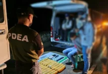 ₱2.4-M a gatad iti mapagduaduaan a marijuana, nakumpiskar idiay Barangay Poblacion, Kibungan, Benguet