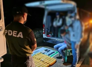 ₱2.4-M a gatad iti mapagduaduaan a marijuana, nakumpiskar idiay Barangay Poblacion, Kibungan, Benguet