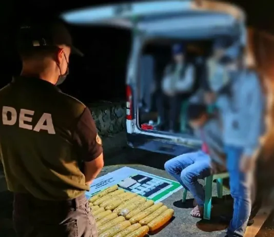 ₱2.4-M a gatad iti mapagduaduaan a marijuana, nakumpiskar idiay Barangay Poblacion, Kibungan, Benguet