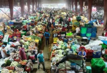 Pagbiagan dagiti mannalon iti Baguio-Benguet, nakaro a naapektaran gapu iti agsasaruno a pannakalugida