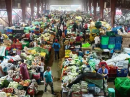 Pagbiagan dagiti mannalon iti Baguio-Benguet, nakaro a naapektaran gapu iti agsasaruno a pannakalugida