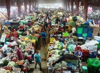Pagbiagan dagiti mannalon iti Baguio-Benguet, nakaro a naapektaran gapu iti agsasaruno a pannakalugida