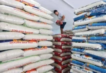 Padayong pag-angkat og bugas sa Pilipinas, gikondena sa grupong Bantay Bigas