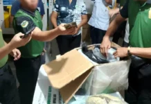 Halos ₱1-M nga kantidad sa marijuana, nakumpiska sa Surigao City ug Nasipit, Agusan del Norte