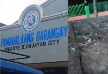 Junkshop truck sa Minante II, inirereklamo dahil sa nagkalat na debris sa kalsada