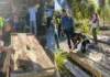 Karpintero, arestado dahil sa mga undocumented lumber at chainsaw sa Delfin Albano, Isabela