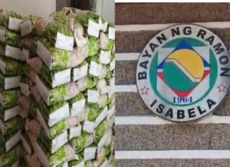 Buwanang ayuda sa bigas, dagdag-suporta sa marginalized sector sa Ramon, Isabela
