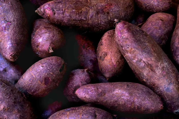 Ube-1