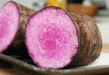 ₱3.7 milyon budget inilaan para sa 420,000 ube planting materials sa Isabela