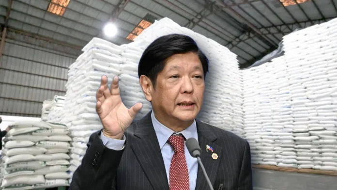 marcos-corn-import