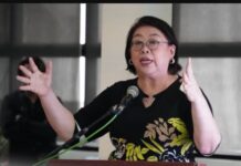 Governor Uy Andam Atubangon ang Mining Isyu Bisan sa Kongreso ug Senado