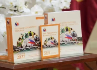 Mas lisod nga ekonomiya sa 2027, gipasidaan sa ekonomistang si Joey Pelaez