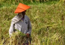 Pag-peak sa El Niño, Muluntad Hangtod Tuig 2027 Matod sa OCD-10