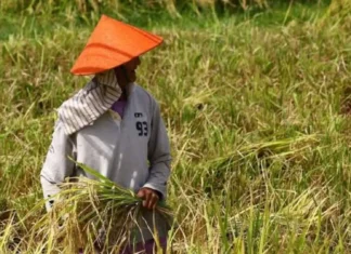 Pag-peak sa El Niño, Muluntad Hangtod Tuig 2027 Matod sa OCD-10