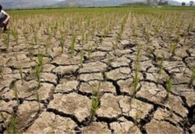 Paggamit sa tubig sa Lake Lanao batok Super El Niño, gisugyot ni Lay Theologian Wilson Amad