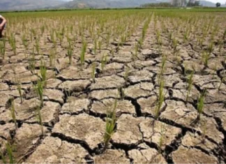 Paggamit sa tubig sa Lake Lanao batok Super El Niño, gisugyot ni Lay Theologian Wilson Amad