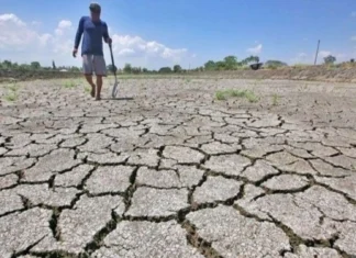 Pagpapabaya sa paghahanda sa El Niño para sa eleksyon, binatikos ng Social Watch Philippines