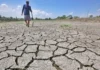 Pagpabaya sa pagpangandam sa El Niño alang sa eleksyon, gisaway sa Social Watch Philippines