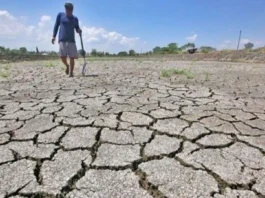 Economic Advocacy Group Highlights Disparities in Regional Water Allocation