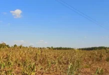 Mga lalawigan sa Region-10, binigyan ng advisory sa epekto ng dry condition at dry spell
