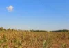 Mga Lalawigan sa Region-10, Gi-advisory sa Epekto sa Dry Condition ug Dry Spell